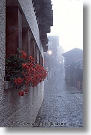 europe, flowers, foggy, grimentz, switzerland, vertical, walls, photograph