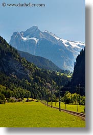 europe, grindelwald, mountains, nature, snowcaps, switzerland, trees, vertical, photograph