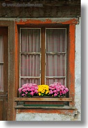 europe, flowers, gasterntal valley, kandersteg, switzerland, vertical, windows, photograph