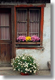 europe, flowers, gasterntal valley, kandersteg, switzerland, vertical, windows, photograph