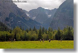 europe, gasterntal valley, hikers, horizontal, kandersteg, mountains, switzerland, trees, photograph