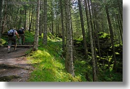 europe, gasterntal valley, hikers, horizontal, kandersteg, switzerland, trees, photograph