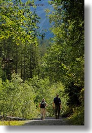 europe, gasterntal valley, hikers, kandersteg, switzerland, trees, vertical, photograph