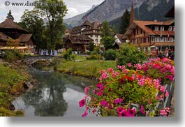 europe, flowers, horizontal, kandersteg, rivers, scenics, switzerland, photograph