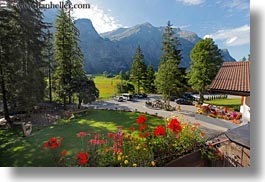 europe, flowers, horizontal, kandersteg, mountains, switzerland, wald hotel doldenhorn, photograph