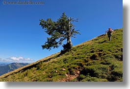 europe, hikers, horizontal, lucerne, mountains, mt rigi, switzerland, trees, photograph