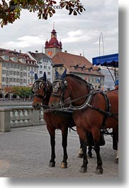 clocks, europe, horses, lucerne, switzerland, towers, towns, vertical, photograph