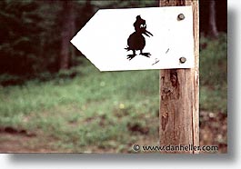 ducks, europe, horizontal, signs, switzerland, photograph