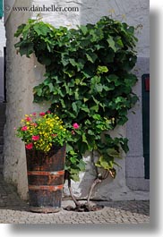 barrels, europe, flowers, montreaux, switzerland, vertical, photograph