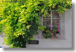 europe, flowers, horizontal, montreaux, switzerland, windows, photograph