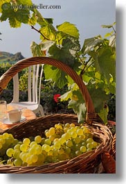 baskets, europe, grapes, montreaux, switzerland, vertical, white, photograph