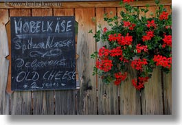 cheese, europe, flowers, geraniums, horizontal, murren, signs, switzerland, photograph