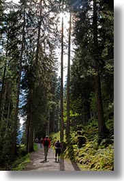 europe, forests, hikers, hiking, murren, people, switzerland, vertical, photograph