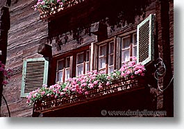 europe, flowery, horizontal, switzerland, windows, zermatt, photograph
