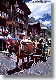 carriage, europe, horses, switzerland, vertical, zermatt, photograph
