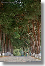 architectural ruins, ephesus, europe, lined, roads, trees, turkeys, vertical, photograph