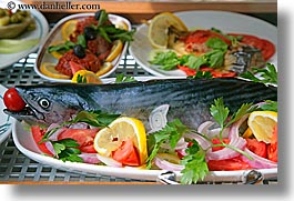 europe, fish, foods, horizontal, plates, raw, turkeys, photograph