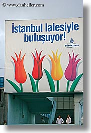 europe, istanbul, signs, tulips, turkeys, vertical, photograph