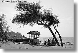 beaches, black and white, europe, horizontal, kalkan, leaning, trees, turkeys, photograph