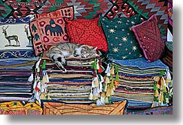cats, europe, horizontal, kas, pillows, rugs, sleeping, turkeys, photograph