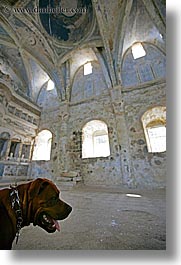 architectural ruins, churchchurch, churches, dogs, europe, kaya koy, ruin, turkeys, vertical, photograph
