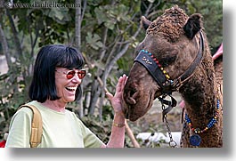 beryl, camels, europe, horizontal, laugh, senior citizen, sunglasses, tourists, turkeys, womens, photograph