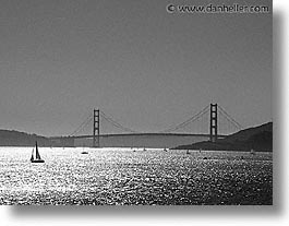 black and white, fujipix, golden gate bridge, sailboats, horizontal, black and white, fujipix, golden gate bridge, sailboats, photograph
