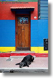 argentina, buenos aires, dogs, doors, la boca, latin america, vertical, photograph