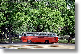 argentina, buenos aires, bus, horizontal, latin america, trees, photograph