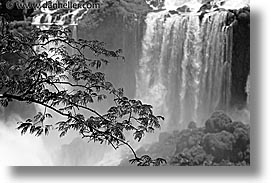 argentina, black and white, falls, horizontal, iguazu, latin america, water, waterfalls, photograph