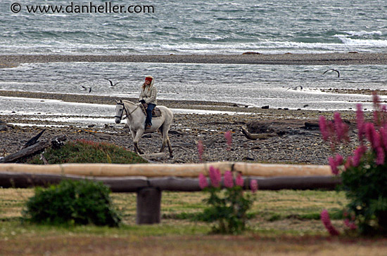 horseback riding on beach. each-horseback-riding-1.jpg