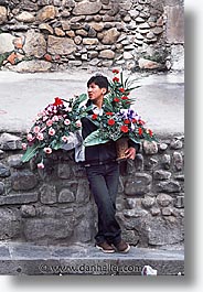 bolivia, for, la paz, latin america, people, roses, sales, vertical, photograph
