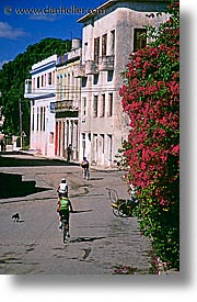 bicycles, caribbean, city scenes, cuba, havana, island nation, islands, latin america, riding, south america, vertical, photograph