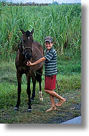 boys, caribbean, childrens, cuba, havana, horses, island nation, islands, latin america, people, south america, vertical, photograph