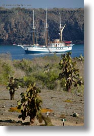 bay, boats, ecuador, equator, faralote, galapagos islands, latin america, sagitta, sails down, vertical, photograph