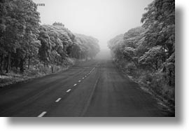 black and white, ecuador, equator, foggy, galapagos islands, gemelos sink hole, horizontal, latin america, roads, santa cruz, photograph