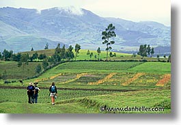 ecuador, equator, fields, highlands, hiking, horizontal, latin america, photograph