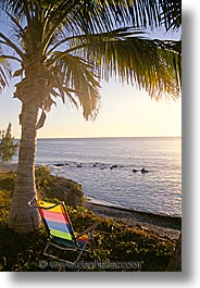 chairs, latin america, mexico, palms, punta chivato, vertical, photograph