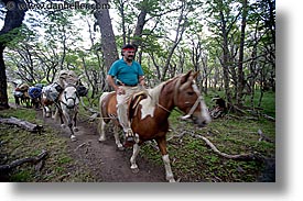 animals, goucho, horizontal, horses, latin america, patagonia, photograph