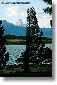 central, lago viedma, latin america, patagonia, torres, trees, vertical, photograph