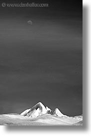 black and white, close ups, glaciers, latin america, moon, moreno glacier, patagonia, vertical, photograph