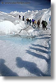 glacier hiking, hikers, latin america, moreno glacier, patagonia, shadows, vertical, photograph