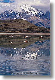 latin america, mountains, patagonia, reflect, vertical, photograph