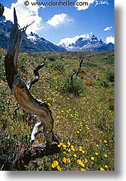 latin america, mountains, patagonia, scenics, vertical, photograph
