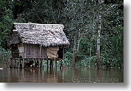 amazon, horizontal, jungle, latin america, peru, river people, rivers, photograph