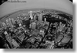 auckland, black and white, cityscapes, fisheye, horizontal, new zealand, nite, photograph