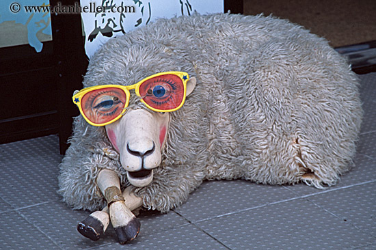 sheep-in-glasses-big.jpg