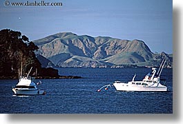 bay, bayof islands, boats, horizontal, islands, new zealand, photograph