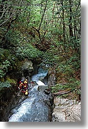 canyons, forests, new zealand, rafting, vertical, photograph