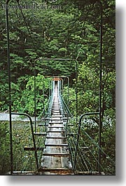 bridge, forests, new zealand, suspension, vertical, photograph